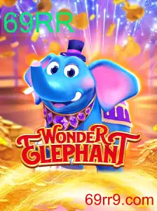 Descubra WonderElephant: O Jogo Inovador Com Mecânicas Únicas